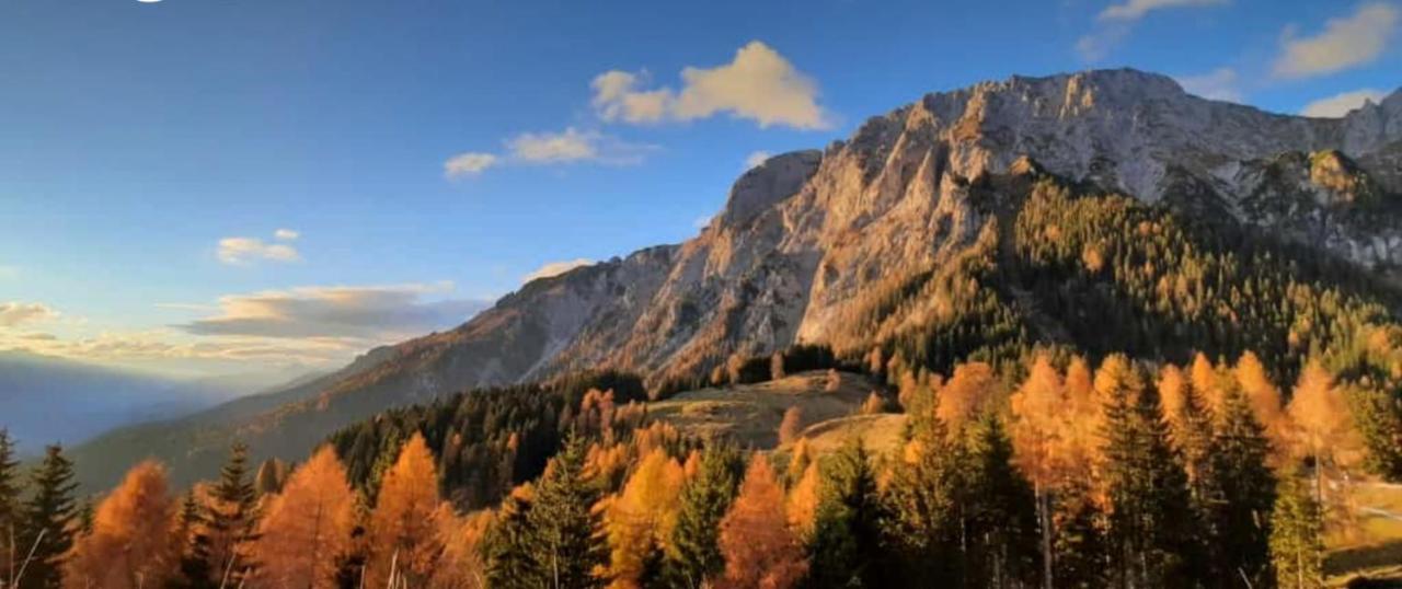 Knaller Der Reiterbauernhof * Reisach