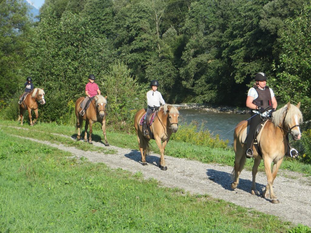 Knaller Der Reiterbauernhof * Reisach
