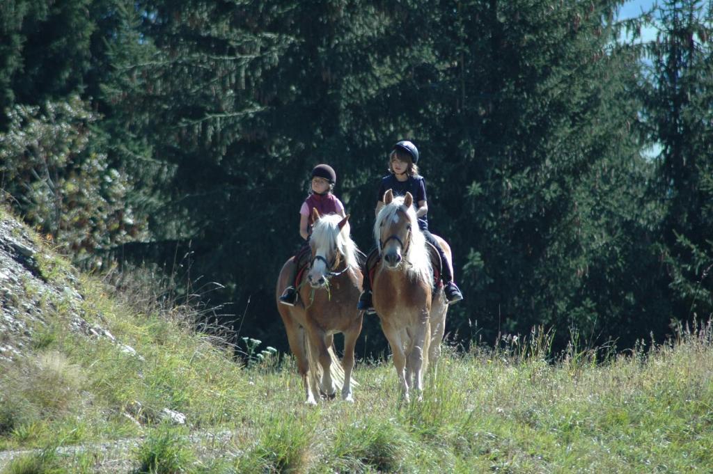 Knaller Der Reiterbauernhof * Reisach