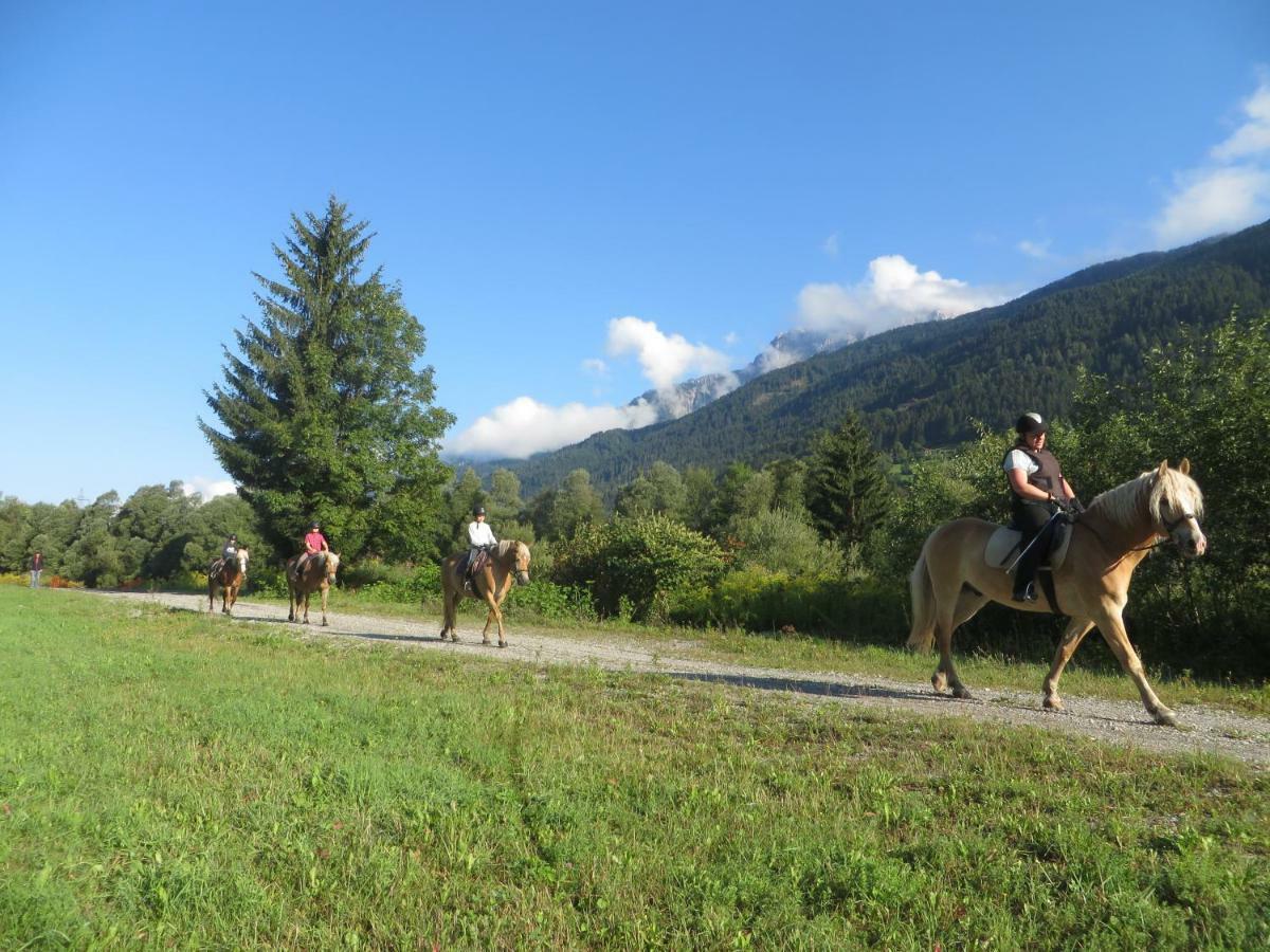 Knaller Der Reiterbauernhof *